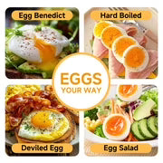 3-in-1 Electric Egg Cooker 7 Egg Capacity – Hard Boiled Egg Maker, Poached Egg Cooker, Omelet Maker & Vegetable Steamer, Automatic Egg Boiler for Breakfast & Meal Prep
