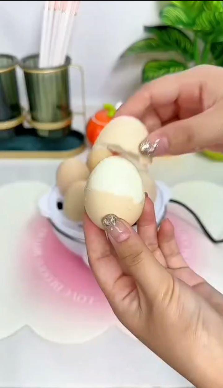 3-in-1 Electric Egg Cooker 7 Egg Capacity – Hard Boiled Egg Maker, Poached Egg Cooker, Omelet Maker & Vegetable Steamer, Automatic Egg Boiler for Breakfast & Meal Prep